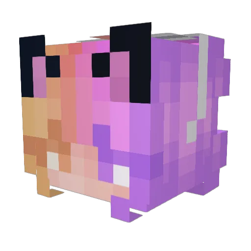 Tosia11 Minecraft avatar head, 3D render