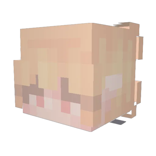 TosiaIga Minecraft avatar head, 3D render