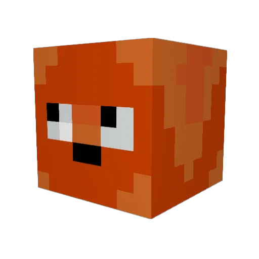Tosia_2 Minecraft avatar head, 3D render