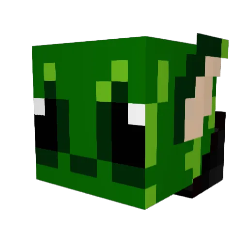 Tosic_Channel Minecraft avatar head, 3D render