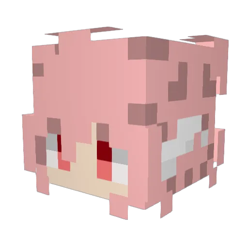 Tosiswag Minecraft avatar head, 3D render