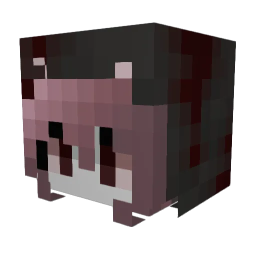 Toska496 Minecraft avatar head, 3D render