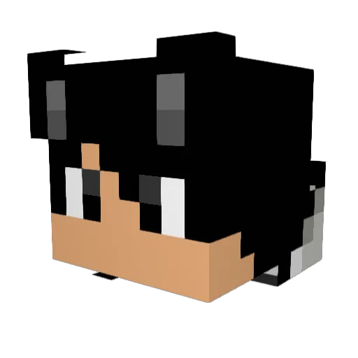 Tosstown Minecraft avatar head, 3D render