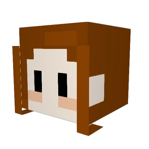 Tosteninja Minecraft avatar head, 3D render