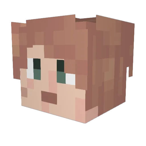 Toster09 Minecraft avatar head, 3D render