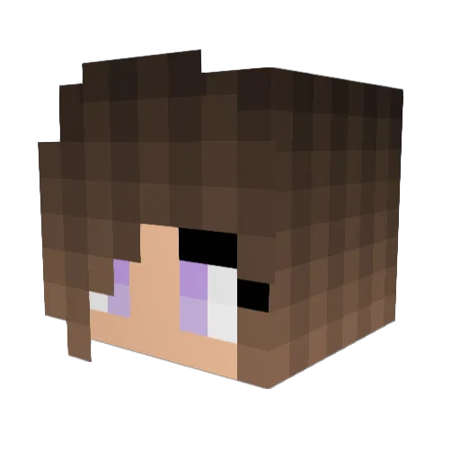 Tosunga1 Minecraft avatar head, 3D render