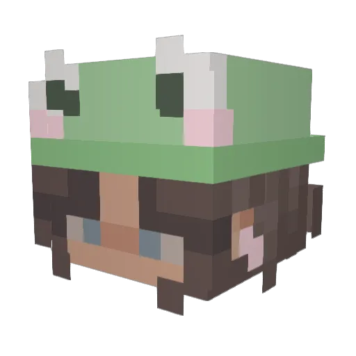 Tota2711 Minecraft avatar head, 3D render