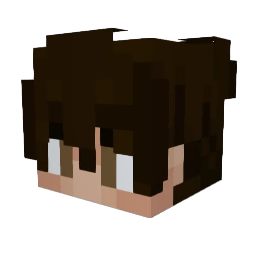 Totablewe Minecraft avatar head, 3D render