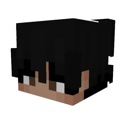 Total1ty Minecraft avatar head, 3D render