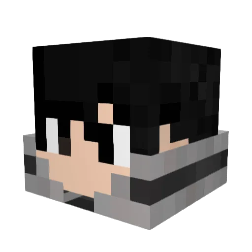 TotalAlbatross Minecraft avatar head, 3D render