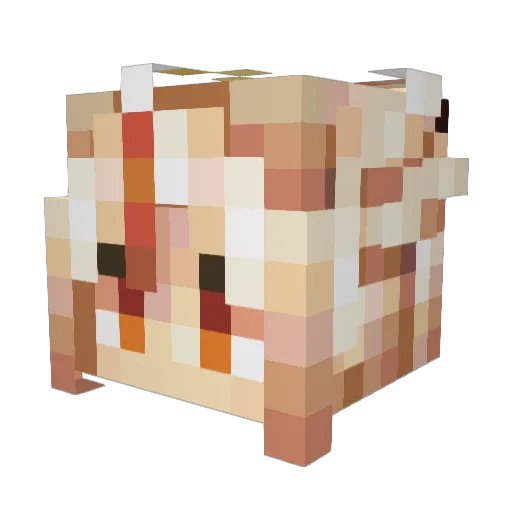 TotalDisruptor22 Minecraft avatar head, 3D render