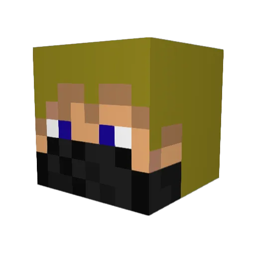 TotalGamer220 Minecraft avatar head, 3D render