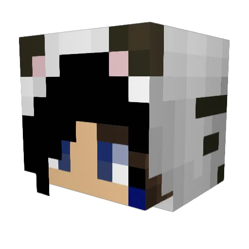 TotalIncon Minecraft avatar head, 3D render