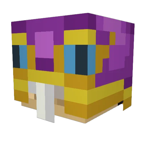 TotalTempest Minecraft avatar head, 3D render