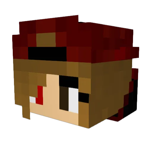 Total_Gamer001 Minecraft avatar head, 3D render