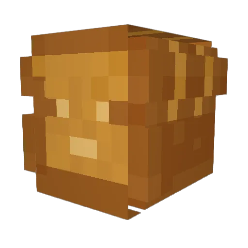 TotaledToast Minecraft avatar head, 3D render