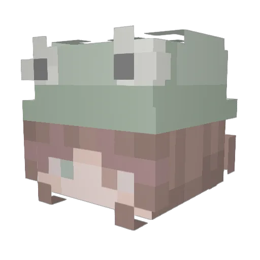 TotallyGh0st Minecraft avatar head, 3D render