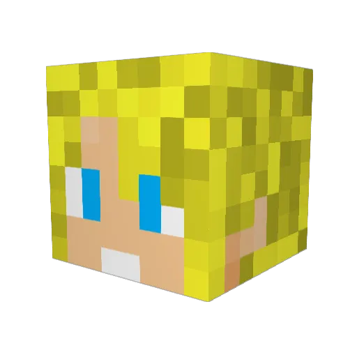 TotallyGnarlyXD Minecraft avatar head, 3D render
