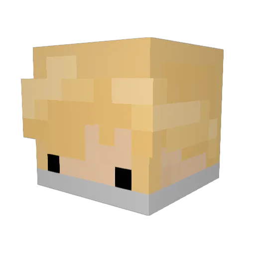 TotallyNotSaf Minecraft avatar head, 3D render