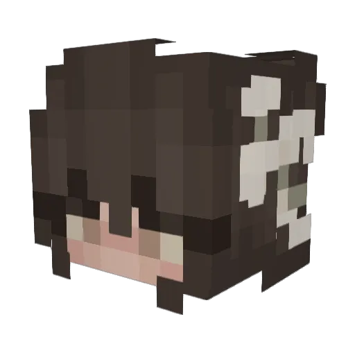 TotallyNotSage Minecraft avatar head, 3D render
