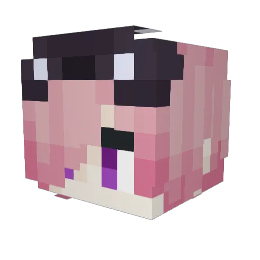 TotallyNotTaeko Minecraft avatar head, 3D render