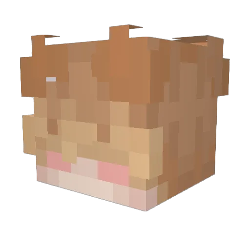 TotallyNotTommm Minecraft avatar head, 3D render