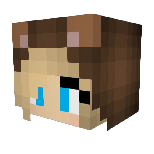 Totally_A_Client Minecraft avatar head, 3D render