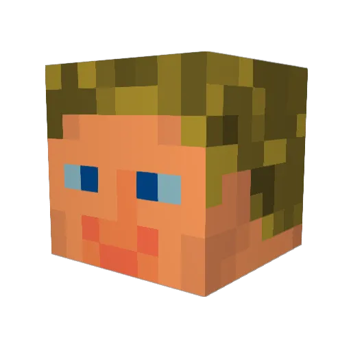 Totally_Guy Minecraft avatar head, 3D render