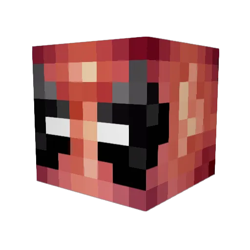 Totally_Straight Minecraft avatar head, 3D render
