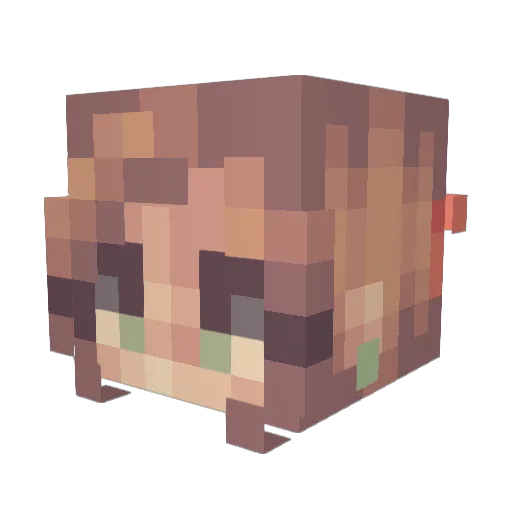 Totallychippy Minecraft avatar head, 3D render