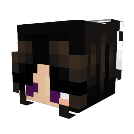 TotallynotRyota Minecraft avatar head, 3D render