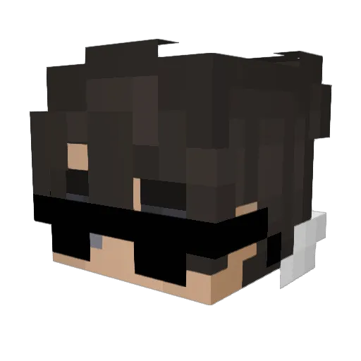 ToterTisch Minecraft avatar head, 3D render