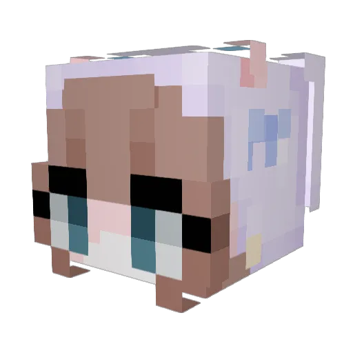 TotesEms Minecraft avatar head, 3D render