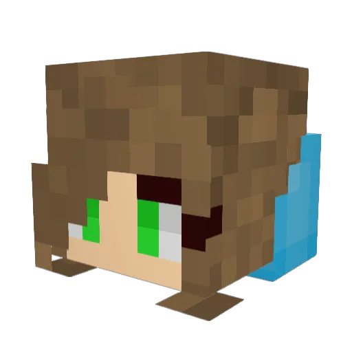 TotesJuniper Minecraft avatar head, 3D render