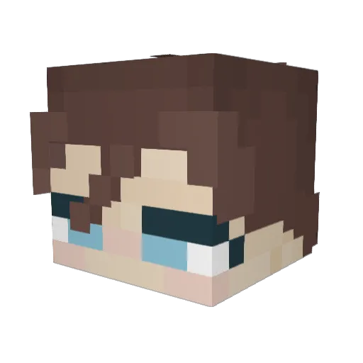 TotesProfesh101 Minecraft avatar head, 3D render