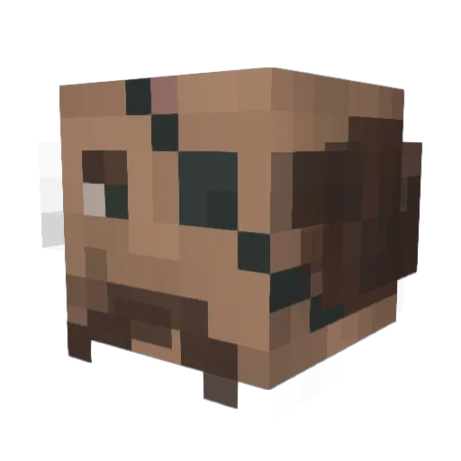 TothpasteMuncher Minecraft avatar head, 3D render