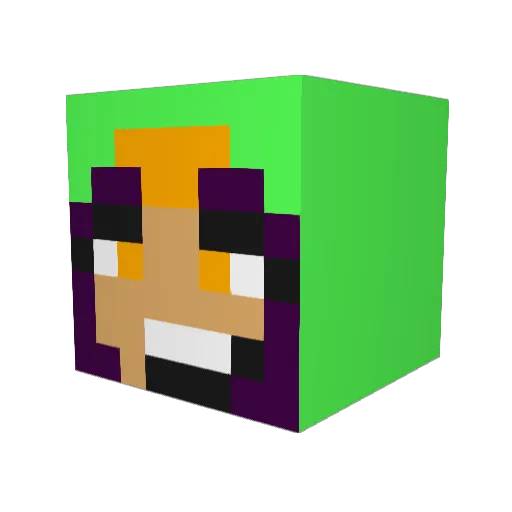 Totininja_ Minecraft avatar head, 3D render
