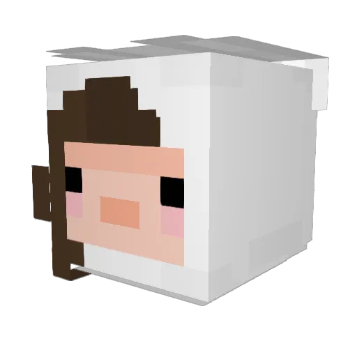 Toto_ro0 Minecraft avatar head, 3D render