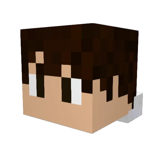 Totoast Minecraft avatar head, 3D render