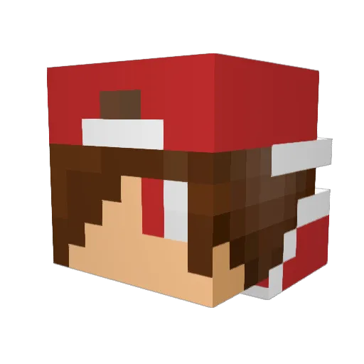 Totodj14YT Minecraft avatar head, 3D render