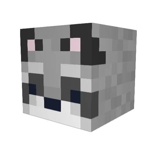 Totodragon6 Minecraft avatar head, 3D render
