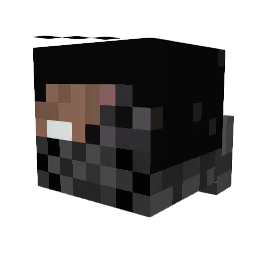 Totoducoco37 Minecraft avatar head, 3D render