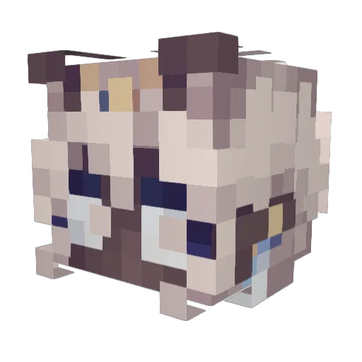 Totohka Minecraft avatar head, 3D render