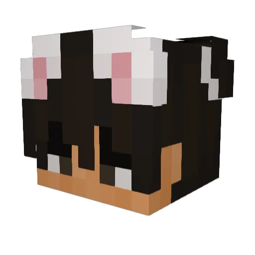 Totoken Minecraft avatar head, 3D render