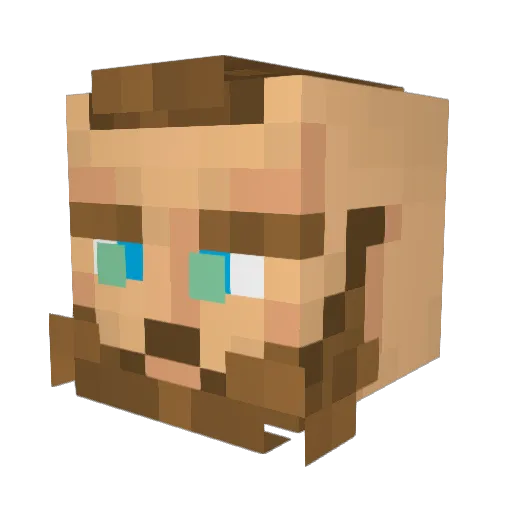 Totola14 Minecraft avatar head, 3D render