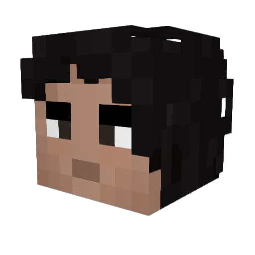 Totolah Minecraft avatar head, 3D render