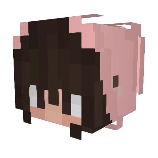Totoro1805 Minecraft avatar head, 3D render
