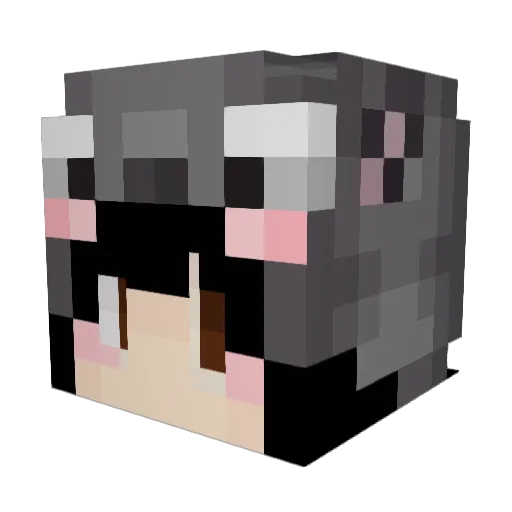 TotoroPudding Minecraft avatar head, 3D render