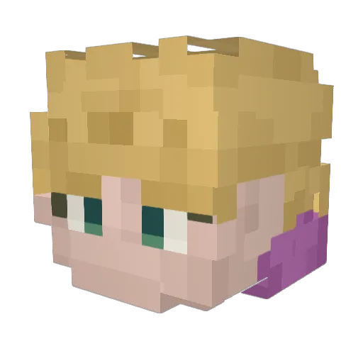Totoro_King Minecraft avatar head, 3D render