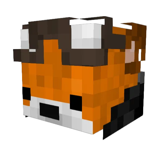 Totozinn Minecraft avatar head, 3D render